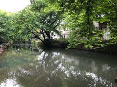 -半天妖烤鱼(芜湖市镜湖万达店)