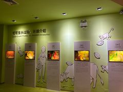 -歌斐颂巧克力小镇