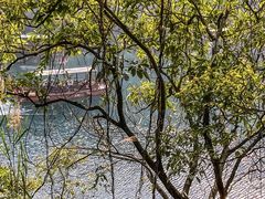 -鼎湖山风景区