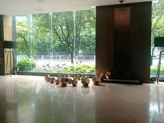 -昆明中心皇冠假日酒店