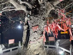 -杨家埠民间艺术大观园