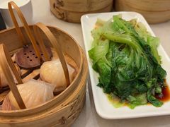 -金鼎轩(方庄天坛店)
