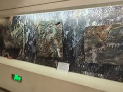 -敦煌市博物馆