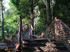 -海南热带雨林国家公园吊罗山景区