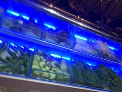 -比尔森韩式烤肉自助(国商店)