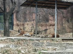 -无锡动物园·太湖欢乐园