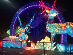 -武汉园博园(武汉自然博物馆)