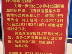 -三水森林公园孔圣园