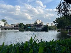 -荔湾湖公园