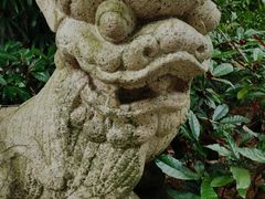 -广州兰圃