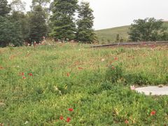 -白鹭湾湿地公园