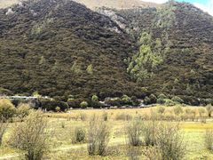 -稻城亚丁景区-冲古草甸