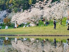 -上海共青森林公园