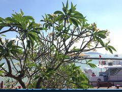 -三亚西岛海洋文化旅游区