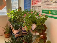 -同福农家菜(霞云岭国家森林公园店)