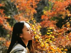 -凤凰山国家森林公园