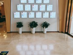 -合肥美奥口腔·种植矫正中心(政务院)