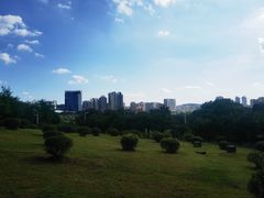 -紫马岭公园