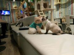 -小时光咖啡馆(开森度假森林店)