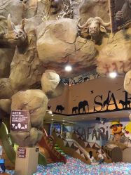 -卡通尼·Safari非洲探索乐园·生日会(金桥国际商业广场店)