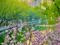 -南长河公园