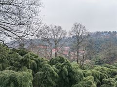 -莫干山风景区