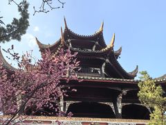 -望江楼公园