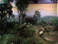 -陕西自然博物馆