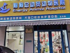 -总动员动物医院(宝丰院店)