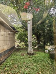 -爱帝宫月子中心(罗湖别墅院)