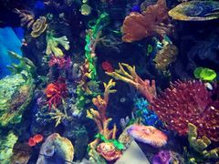 -成都浩海立方海洋公园