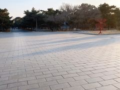 -北陵公园