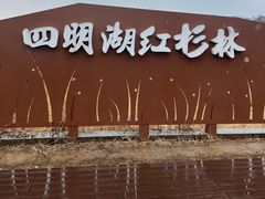 -四明湖