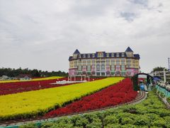 -百万葵园