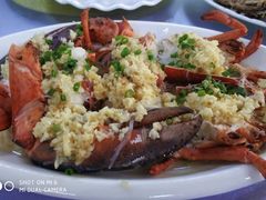 鲜活波士顿龙虾-板桥海鲜广场(文明东店)