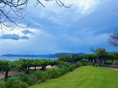 -渔家火锅·海鲜自助餐·演艺(亚龙湾天域酒店)