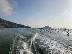 -枸杞岛