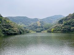 -黄埔油麻山森林公园