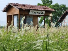-良渚古城遗址公园