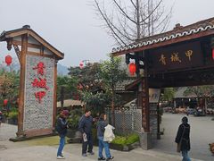 -青城甲(青城山店)