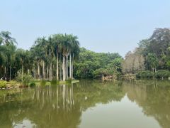 -中国科学院西双版纳热带植物园