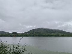 -长广溪湿地公园