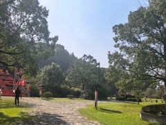 -陶祖圣境风景区