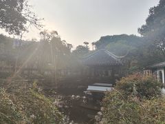 -上海醉白池公园