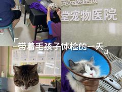 -亚宠动物医院·芭比堂宠物医院(盘龙店)
