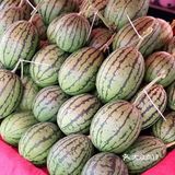 今年夏天最好吃的西瓜🍉｜庞各庄买西瓜🍉新发现