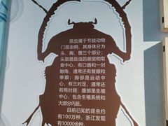 -浙江自然博物院(杭州馆)