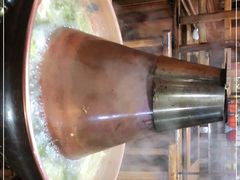 -果松木炭酸菜铜火锅·外婆参鸡汤