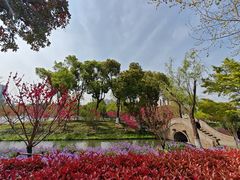 -圩墩遗址公园