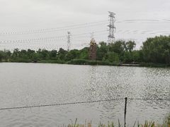 -昆山城市生态森林公园